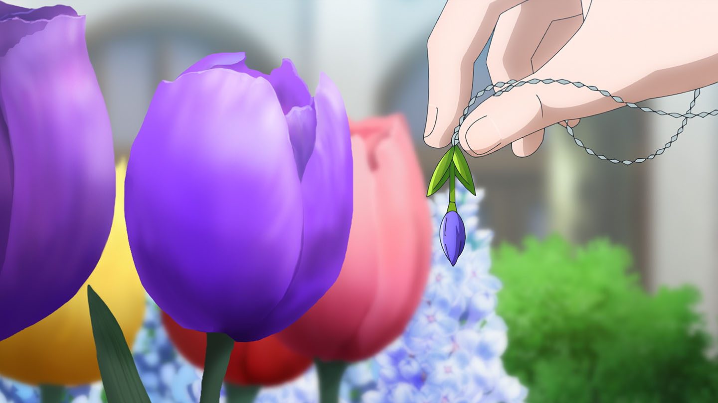 request5 cut6