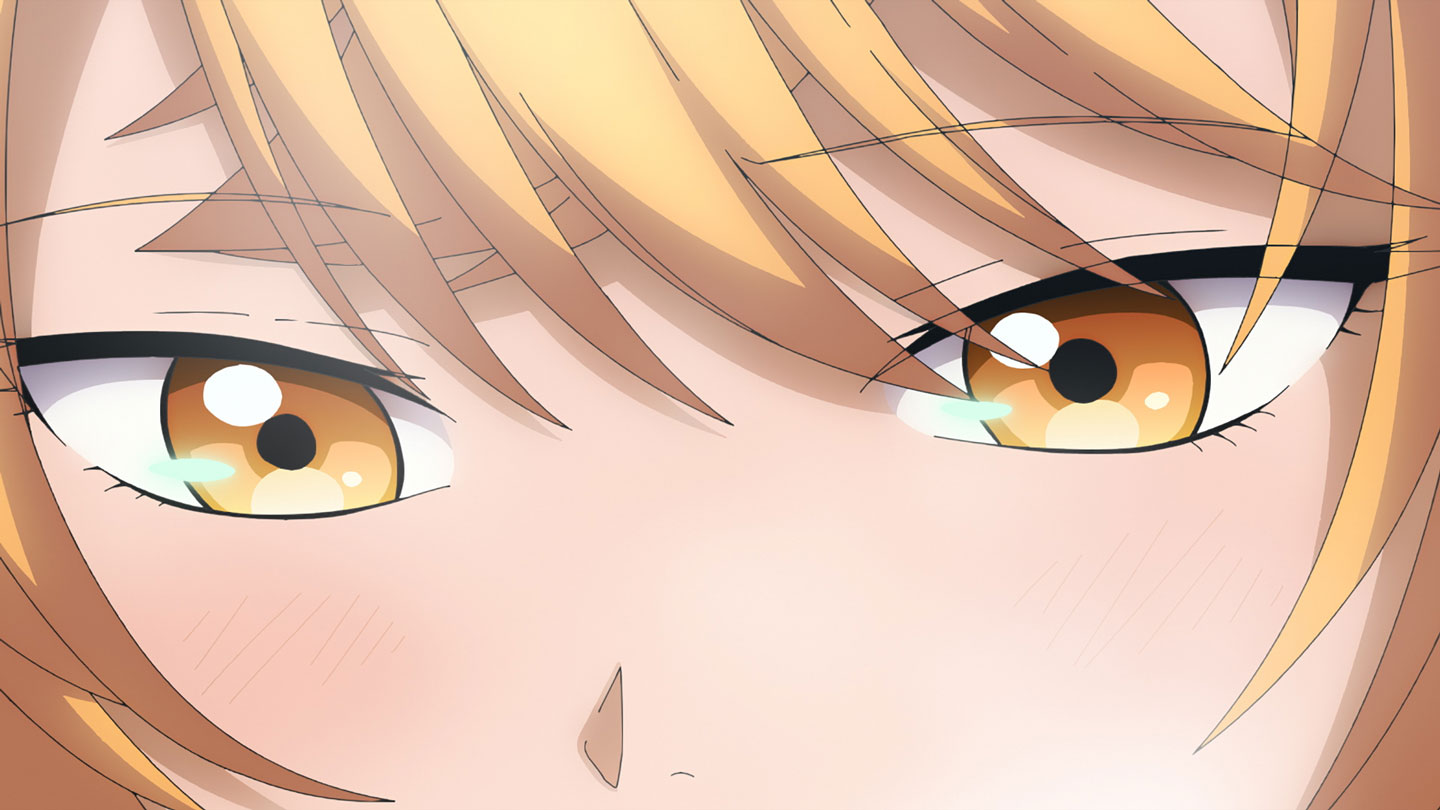 request6 cut9